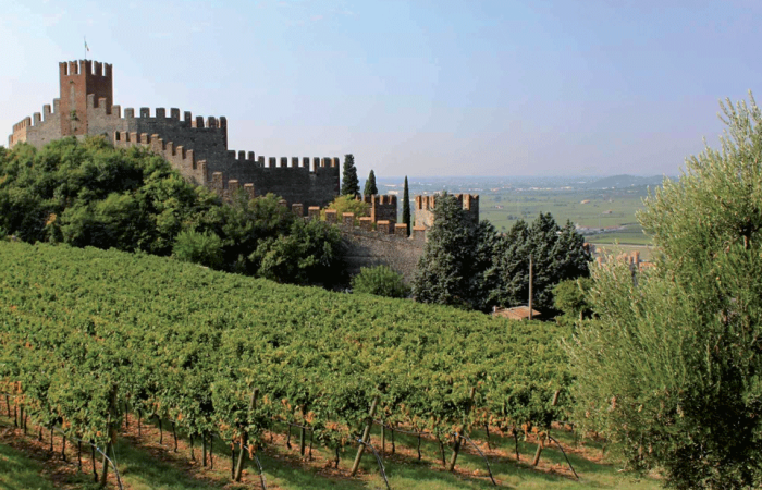 Primavera a Soave
